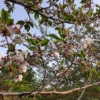 Thumbnail of related posts 164